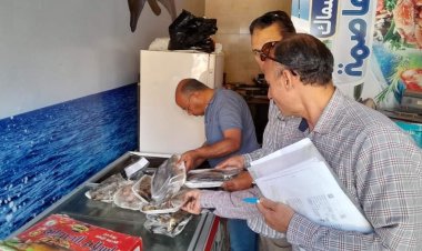 ضبط طن أسماك مملحة ولحوم ودواجن فاسدة في ٥ مراكز بالمنيا