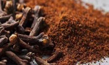 استخدامات القرنفل في تحفيز فقدان الوزن.. 7 طرق فعالة ومبتكرة