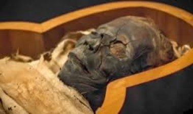 عاجل| العثور على مومياء أثرية ملقاه بالشارع في أسوان