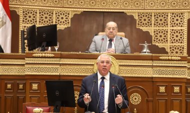 وزير الزراعة يستعرض إنجازات القطاع خلال 10 سنوات أمام «الشيوخ»