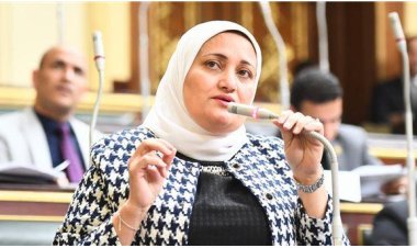 تحرك برلماني بشأن فيديو «الحمل الحرام» الذي بثته وسام شعيب طبيبة النساء والتوليد