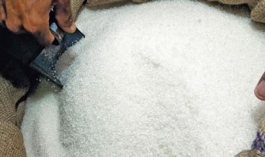 وزير التجارة يصدر قرارا بمد حظر تصدير السكر لمدة 3 أشهر