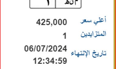 «منة 2».. سعرها 425 ألف جنيه| المرور تعرض 4  أرقام عربات مميزة بالمزاد العلني
