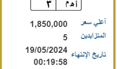 «أهم  3 وعمر  ورعب »... لوحات مرور مميزة  تتخطى المليون جنيه في مزاد علني