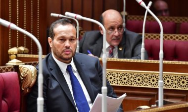 النائب محمد حلاوة: أرباح مشروع «رأس الحكمة» أثبتت صحة رؤية الرئيس السيسي الاقتصادية