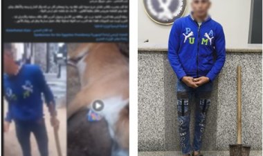 ضبط مزارع لتعديه على كلب باستخدام “كوريك” فى سوهاج 