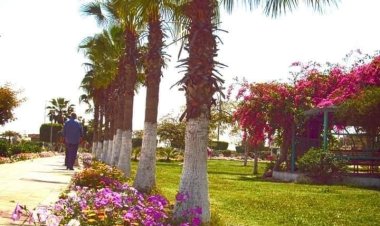 تكثيف صيانة المسطحات الخضراء بالمدن الجديدة في عيد شم النسيم