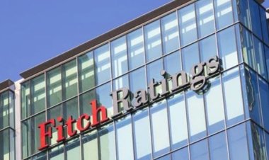 فيتش تتوقع تحسن مؤشرات الاستثمار الأجنبي والسيولة الدولارية بالقطاع المصرفي المصري