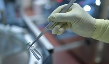 أستاذ أوبئة: فيروس X مجرد فيروس افتراضي