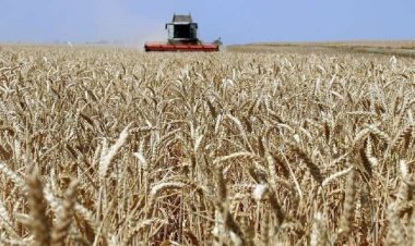 بسبب الظروف الجوية الصعبة.. ارتفاع أسعار تصدير القمح الروسي