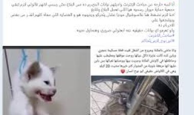 عاجل.. القبض على صاحب حساب «أبو نوح» بعد نشره صور وفيديوهات تعذيب القطط والأشخاص