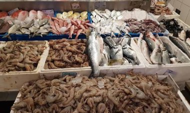 رئيس غرفة بورسعيد التجارية: أسعار الأسماك انخفضت من 50 إلى 70% بعد المقاطعة