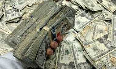 ضبط شقيقين نصبا على المواطنين بزعم توظيف أموالهم