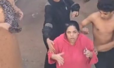 ميهمنيش الحكومة.. إخلاء سبيل أطراف فيديو مشاجرة المرج بكفالة 5 آلاف جنيه 