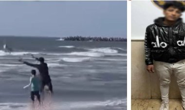 القبض على عامل لقيامه بإلقاء كلب صغير بمياه البحر بدمياط