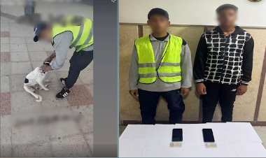 القبض على عامل بمحطة وقود وزميله لتصويرهم فيديو أثناء التعدي على كلب بمطروح 