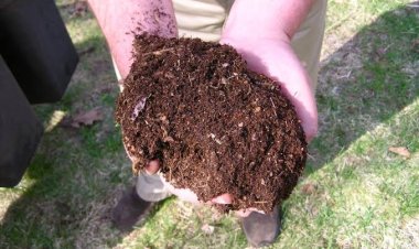 توجه غريب أم فكرة مستدامة.. العلماء يدعون لاستخدام فضلات البشر في الزراعة