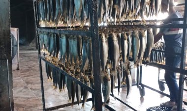 محافظ الغربية يوجه بمراقبة الأسواق خلال عيد القيامة وشم النسيم