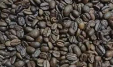 بعد تسجيله 1000 جنيه للكيلو.. إزاي تفرق بين البن المغشوش والأصلي