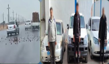 بسبب خلافات الجيرة.. الأمن يكشف ملابسات فيديو "مطاردة الإسماعيلية" ويضبط المتورطين