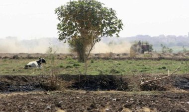 عامل ينهي حياة مزارع في الشرقية بسبب خلافات على ري الأرض