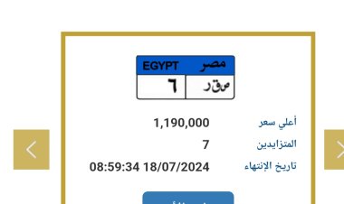 صقر بـ 1.2 مليون جنيه .. الداخلية تطرح لوحات معدنية مميزة 