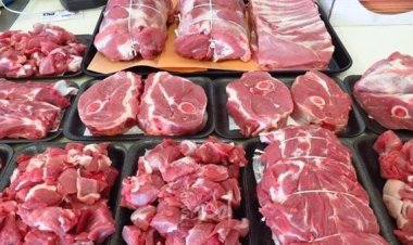 سعر كيلو اللحمة في مصر اليوم