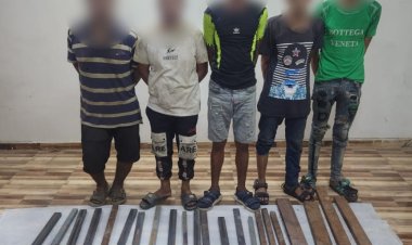 سرقة أجزاء من سور كوبرى شبرا الخيمة.. تحرك عاجل من الداخلية 