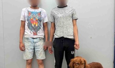 احتجاز شاب وتهديده باستخدام كلب بسبب خلافات مالية في السلام 