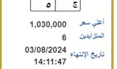 "ج 5"...لوحة مرور مميزة بمليون جنية فى مزاد علني 