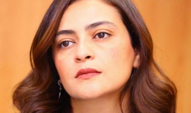 علا الشافعي رئيسًا لمهرجان الإسكندرية السينمائي لدول حوض البحر المتوسط