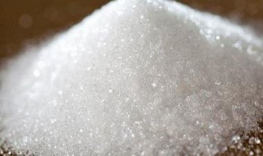 الدلتا للسكر: ارتفاع توريد محصول البنجر إلى 985 ألف طن وإنتاج 132 ألف طن سكر