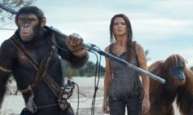 359 مليون دولار.. أرباح ضخمة لفيلم Kingdom of the Planet of the Apes خلال شهر