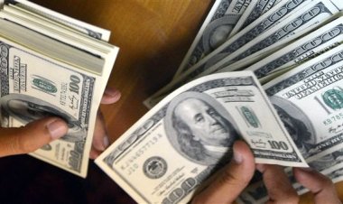 ضبط 13 مليون جنيه خلال مكافحة الإتجار غير المشروع بالنقد الأجنبى
