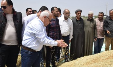محافظ بورسعيد يشهد موسم حصاد القمح بسهل الحسينية جنوب بورسعيد