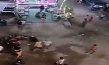 الامن يكشف ملابسات فيديو مقتل عامل بالصالة للألعاب رياضية بالقليوبية 