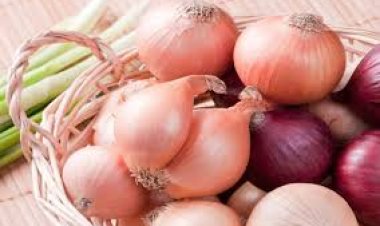 كم أسعار البصل اليوم 2024؟