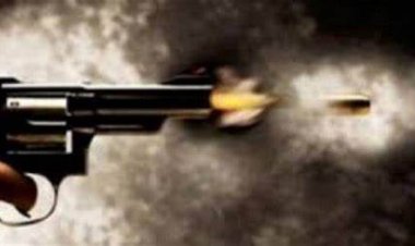 «مأساة فى حدائق القبة ».. صدموا فتاة واطلقو النار على شقيقها