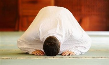 عدد ركعات التهجد في رمضان