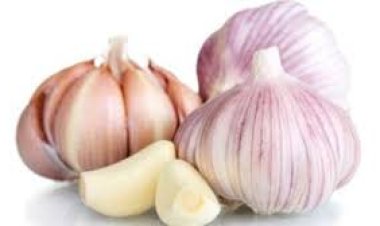 شعبة الخضار والفاكهة تكشف سبب ارتفاع أسعار الثوم.. وموعد استقراره| خاص