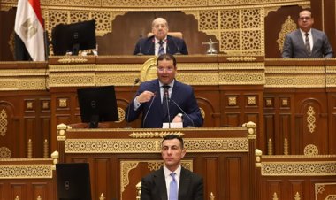 نائب وزير المالية: لدينا 3 هيئات حكومية تشترك في إدارة منظومة التأمين الصحي بالكامل