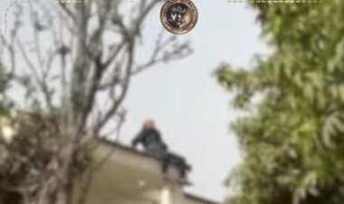 سقوط زعيم تشكيل عصابي من أعلى فيلا  بعد محاصرة قوات الشرطة له بالشيخ زايد