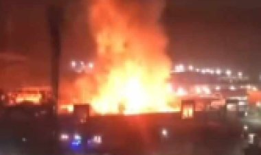 عاجل.. السيطرة على «حريق» التهم عددا من النخيل والأشجار في حلوان