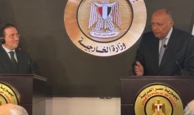 وزير الخارجية الإسباني: مصر تلعب دورا مهما في القارة الإفريقية
