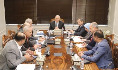 وزير الزراعة يبحث سبل تعزيز صادرات مصر من البطاطس