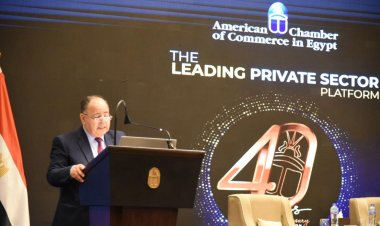 وزير المالية : عرض اتفاق معدل مع النقد الدولى لوصول أول دفعه 8 مليارات دولار