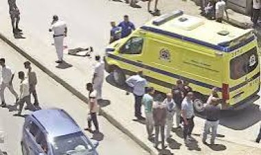 على غرار حبيبة الشماع.. سيدة أجنبية تقفز من ميكروباص بعد محاولة السائق مضايقتها