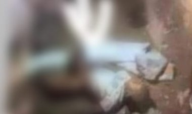 قاتل الطفلة جانيت بمدينة نصر.. «اغتصبتها حية وميتة»