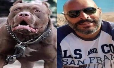 القبض على خادمة زوج أميرة شنب بعد وفاة مدير البنك