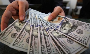 بعد إجازة المولد النبوي.. استقرار سعر الدولار أمام الجنيه اليوم الإثنين في البنوك